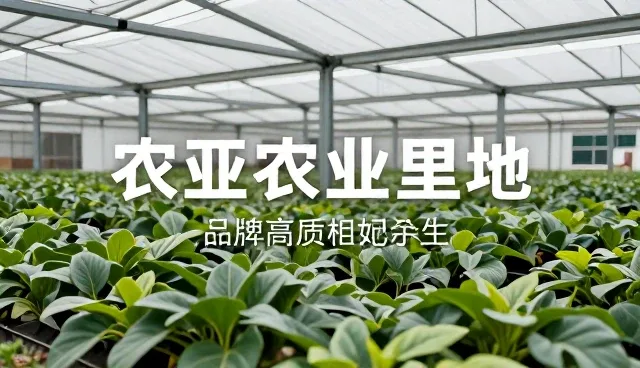 邯郸篮球直播间在哪,如何获取最新赛事信息传播